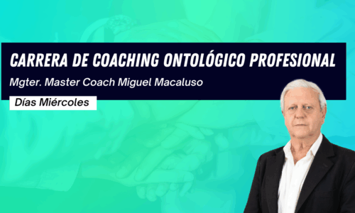miniatura del curso
